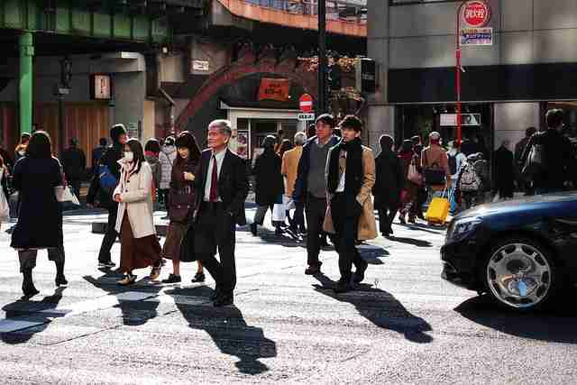 麻豆网·国际服·深度解析·玩家必看  第2张